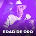 Carátula de Llegaron las putierrez, de Joaquin Bedoya