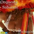 Carátula de El culebro, de Orquesta Ritmo De Sabanas