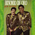 Carátula de Manantial de amor, de Binomio De Oro
