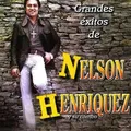 Carátula de Mentirosa, de Nelson Henriquez