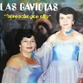 Carátula de Gaviota traidora, de Las Gaviotas