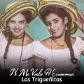 Carátula de Mi destino fue quererte, de Las Trigueñitas