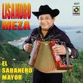 Carátula de Al calor de tu piel, de Lisandro Meza