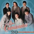 Carátula de brindo por tu cumpleaños, de Los Caminantes