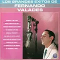 Carátula de Una noche mas, de Fernando Valades