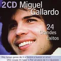 Carátula de Saldre a buscar el amor, de Miguel Gallardo