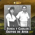 Carátula de El errante, de Sonia Y Carlos
